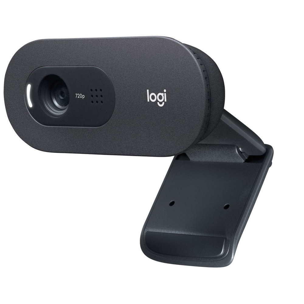 Kamera LOGITECH C505E HD Webcam Black